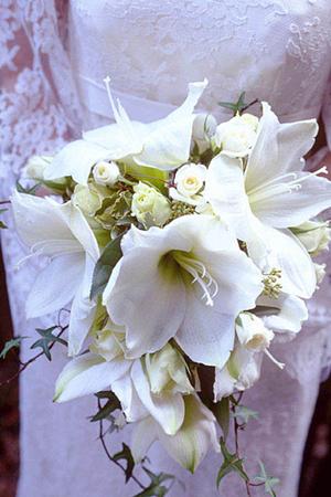 本気で婚活をしたい人におすすめです