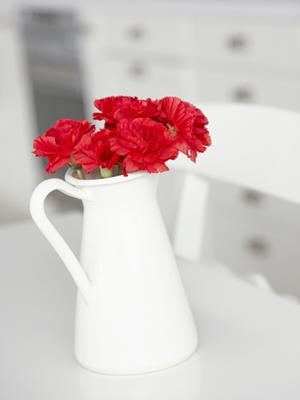 ブライダルリングの専門店の結婚指輪